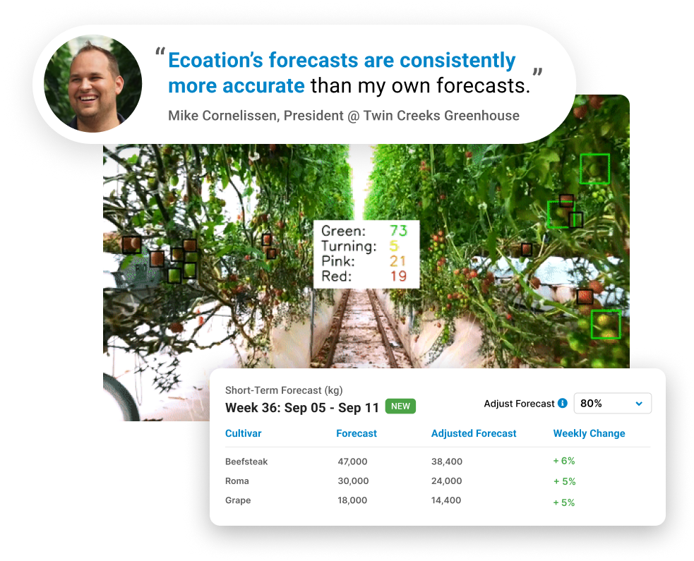 Customer speaking about Yield Forecasting and accurate sales forecasting in yield production for a Canadian Greenhouse