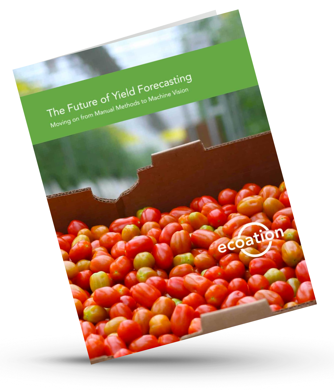 Yield-Forecasting-ecoation-whitepaper-download-pdf