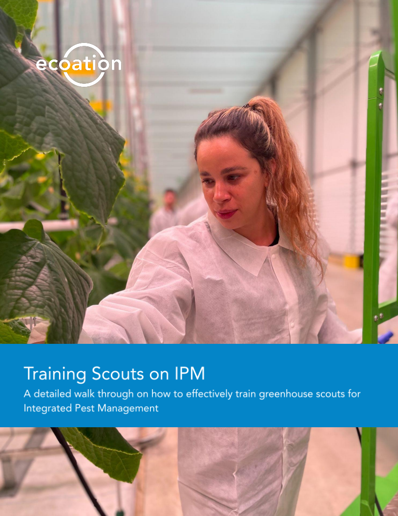 whitepaper-greenhouse-scout-training-01